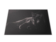 Glasdekor Skleněné prkénko černá kočka na černém podkladu - Prkénko: 40x30cm