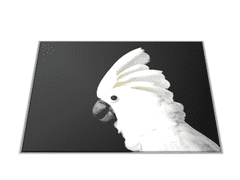 Glasdekor Skleněné prkénko papoušek kakadu bílý - Prkénko: 40x30cm