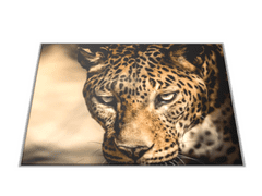 Glasdekor Skleněné prkénko šelma leopard - Prkénko: 40x30cm