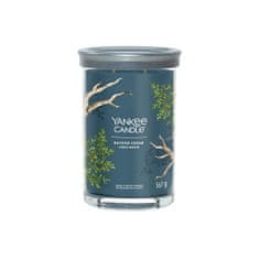 Yankee Candle Aromatická svíčka Signature tumbler velký Bayside Cedar 567 g