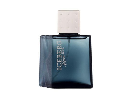 Iceberg 50ml homme, toaletní voda