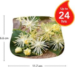 Yankee Candle Sviečka Outdoor Linden Tree Blossoms