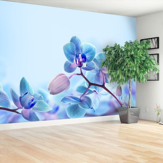 tulup.cz Fototapeta Tropické orchideje Fototapeta Samolepící