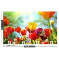 tulup.cz Fototapeta Květiny tulipánů Fototapeta Samolepící 416x254 cm