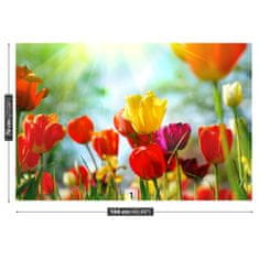 tulup.cz Fototapeta Květiny tulipánů Fototapeta Vliesová 104x70 cm