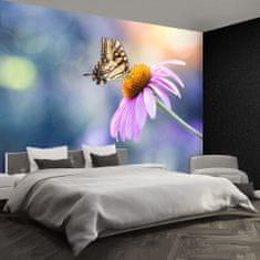 tulup.cz Fototapeta Echinacea Butterfly Fototapeta Samolepící 208x146 cm