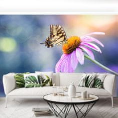 tulup.cz Fototapeta Echinacea Butterfly Fototapeta Samolepící 208x146 cm