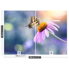 tulup.cz Fototapeta Echinacea Butterfly Fototapeta Samolepící 208x146 cm