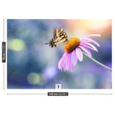 tulup.cz Fototapeta Echinacea Butterfly Fototapeta Vliesová 104x70 cm