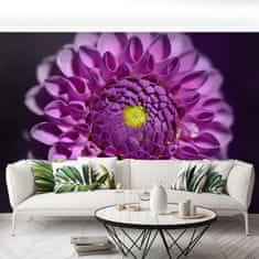 tulup.cz Fototapeta Dahlia růžová Fototapeta Samolepící 104x70 cm