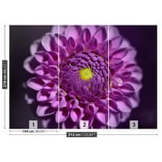 tulup.cz Fototapeta Dahlia růžová Fototapeta Vliesová 312x219 cm