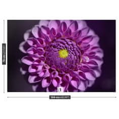 tulup.cz Fototapeta Dahlia růžová Fototapeta Samolepící 104x70 cm