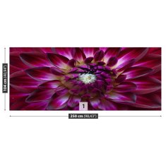 tulup.cz Fototapeta Aster fialový Fototapeta Vliesová 250x104 cm