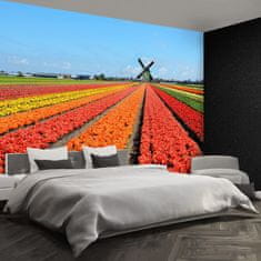 tulup.cz Fototapeta Větrný mlýn tulipány Fototapeta Samolepící 312x219 cm