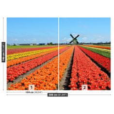 tulup.cz Fototapeta Větrný mlýn tulipány Fototapeta Vliesová 208x146 cm