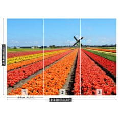 tulup.cz Fototapeta Větrný mlýn tulipány Fototapeta Samolepící 312x219 cm