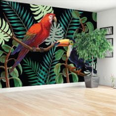 tulup.cz Fototapeta Ara Toucan Fototapeta Samolepící 152x104 cm