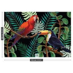 tulup.cz Fototapeta Ara Toucan Fototapeta Samolepící 152x104 cm