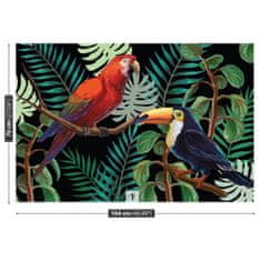 tulup.cz Fototapeta Ara Toucan Fototapeta Vliesová 104x70 cm