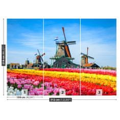 tulup.cz Fototapeta Tulipány Větrné mlýny Fototapeta Vliesová 312x219 cm