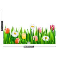 tulup.cz Fototapeta Tulipány Tráva Fototapeta Vliesová 104x70 cm