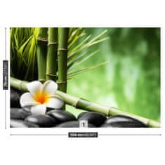 tulup.cz Fototapeta Keře Bamboo Fototapeta Samolepící 104x70 cm