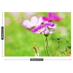 tulup.cz Fototapeta Cosmos Purple Fototapeta Samolepící 104x70 cm