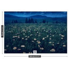 tulup.cz Fototapeta Žluté pampelišky Fototapeta Vliesová 104x70 cm