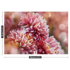 tulup.cz Fototapeta Aster ice Pink Fototapeta Samolepící 104x70 cm