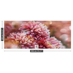 tulup.cz Fototapeta Aster ice Pink Fototapeta Samolepící 250x104 cm