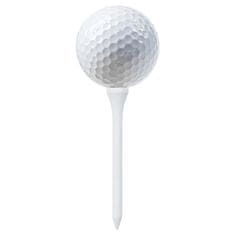 Greatstore Golfová týčka 1 000 ks bílá 54 mm bambus