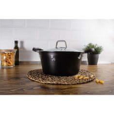 Berlingerhaus VařeníBerlinger Haus titanový hrnec 20cm 2.5l Black Professional Line BH6122