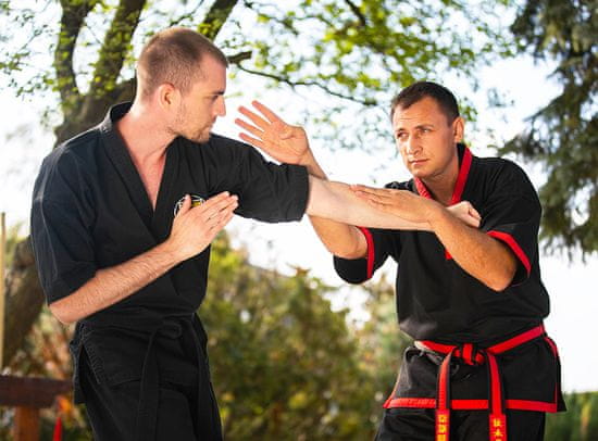 Allegria bojové umění Kung fu - trénink s Mistrem Psáry