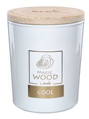 NOHEL GARDEN Svíčka sklo - MAGIC WOOD 300 g - Cool