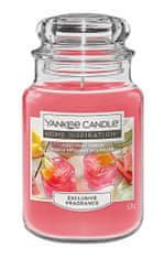 Yankee Candle Svíčka vonná sklo FIZZY FRUIT PUNCH 538g (hoří 130hod)