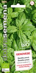 Dobrá semena BIO Bazalka pravá - Genovese 0,6g