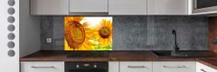 Wallmuralia Dekorační panel sklo Slunečníky 100x70 cm