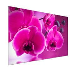 Wallmuralia Skleněný panel do kuchynské linky Orchidej 100x70 cm