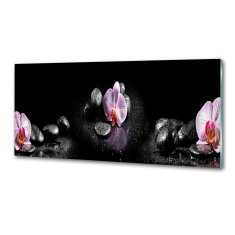 Wallmuralia Skleněný panel do kuchynské linky Orchidej 125x50 cm