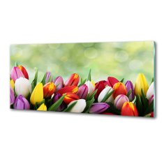 Wallmuralia Panel do kuchyně Barevné tulipány 125x50 cm