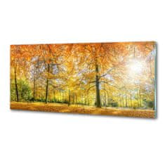 Wallmuralia Dekorační panel sklo Podzimní les 125x50 cm