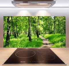 Wallmuralia Dekorační panel sklo Břízový les 120x60 cm