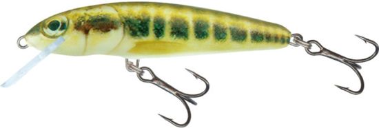 Salmo Wobler Minnow M7F barva M