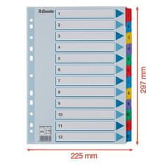 Esselte Zesílené rejstříky "Mylar", mix barev, karton, A4, 1-12 100162