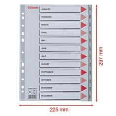 Esselte Rejstříky, šedá, A4, plast, Jan-Dec 100114