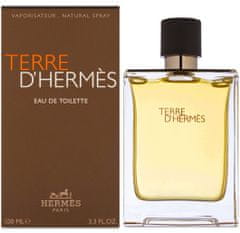 Hermès Terre D´ Hermes - EDT 100 ml