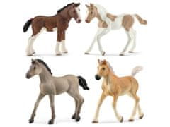 sarcia.eu Schleich Horse Club - Sada figurek koní, hříbat, figurek zvířátek pro děti, 4 ks. 