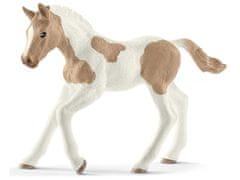 sarcia.eu Schleich Horse Club - Sada figurek koní, hříbat, figurek zvířátek pro děti, 4 ks. 