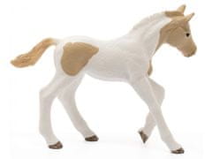 sarcia.eu Schleich Horse Club - Sada figurek koní, hříbat, figurek zvířátek pro děti, 4 ks. 