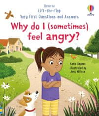 Usborne Very First Questions and Answers: Why do I (sometimes) feel angry?